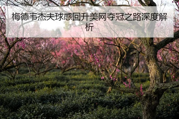 梅德韦杰夫球感回升美网夺冠之路深度解析